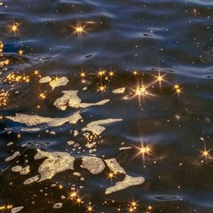 Meet your Posher, Alfredo